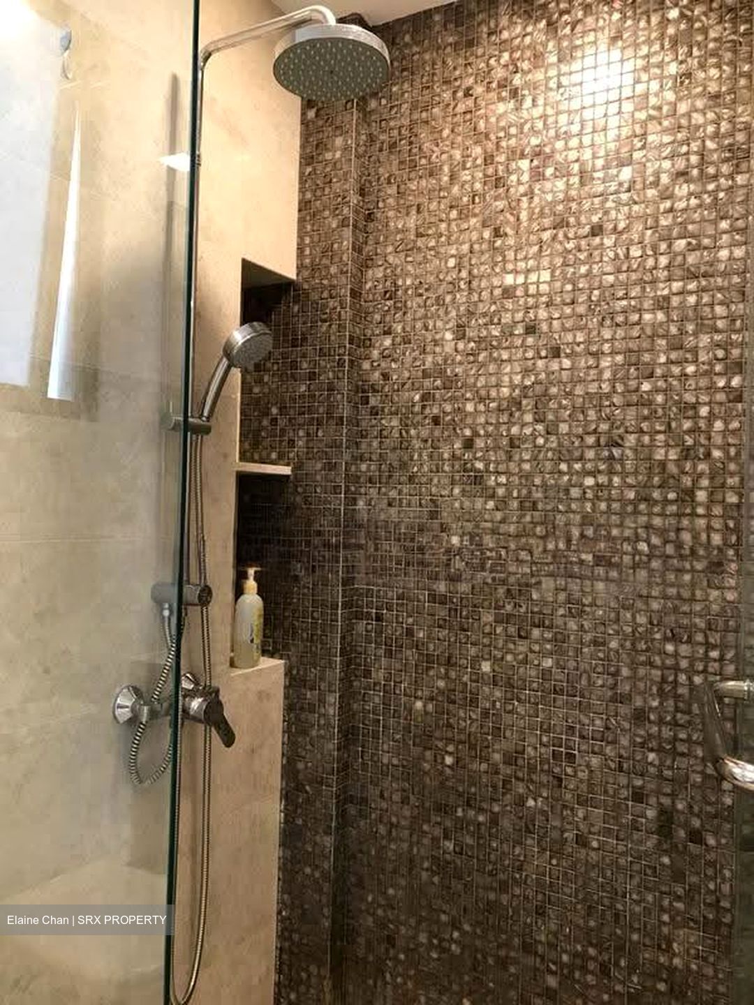 La Fiesta (D19), Condominium #608434781